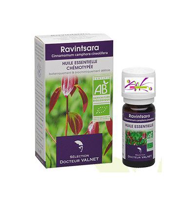 Essential oil Ravintsara Organic Doctor Valnet