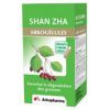 Arkogélules SHAN ZHA 45/FL Arkopharma