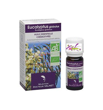 Essential oil Eucalyptus globulus Organic DoctorValnet