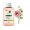Shampoo with Peony soothing and anti-irritant 400ml Klorane