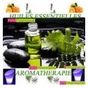 Aromatherapy essential oil