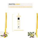 PHYTOJOBA Shampoo Moisturizing shampoo fordry hair Phyto 250 ml