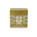 SOLID SHAMPOO DRY hair scent coconut,